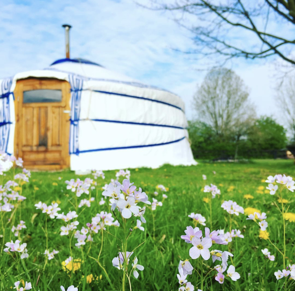 The Yurt Project